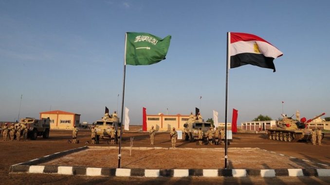 التدريب المصري- السعودي المشترك تبوك-4 (صورة أرشيفية) التدريب المصري- السعودي المشترك تبوك-4 (صورة أرشيفية)
