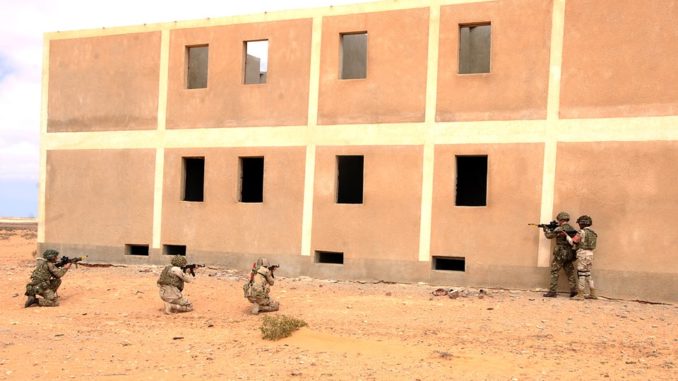 تدريب أحمس- 1 المشترك بين بريطانيا ومصر في 14 آذار/ مارس تدريب أحمس-1