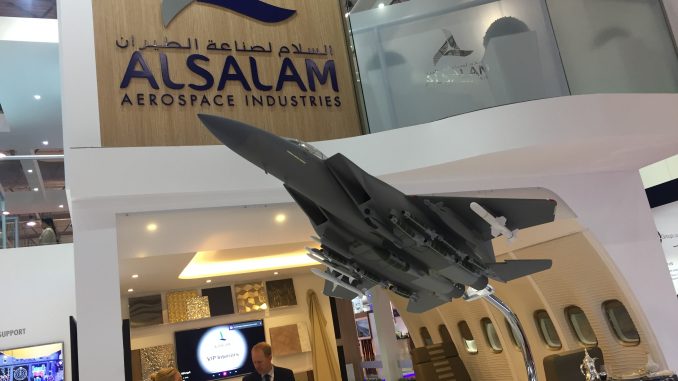 نموذج عن مقاتلة F-15SA خلال معرض دبي للطيران 2017 (شيرين مشنتف) نموذج عن مقاتلة F-15SA خلال معرض دبي للطيران 2017 (شيرين مشنتف)