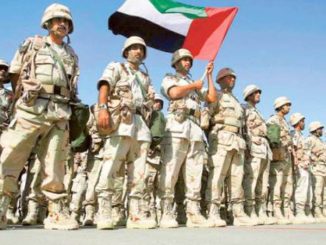 عناصر من القوات المسلّحة الإماراتية