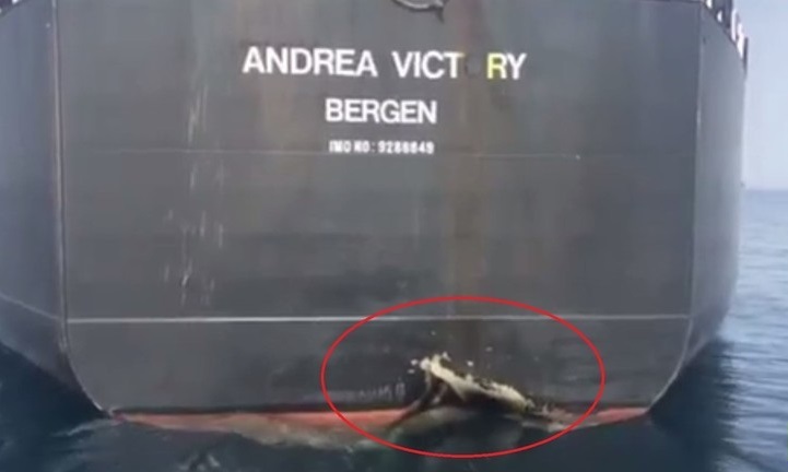 الضربة التي تعرضت لها السفينة النرويجية في 12 أيار/ مايو